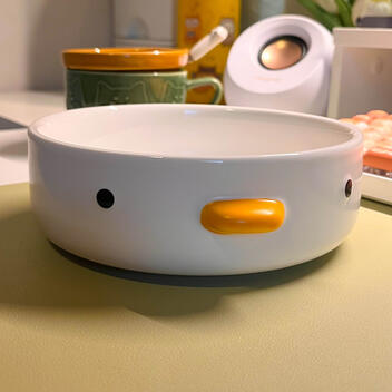 DUCK PLATE